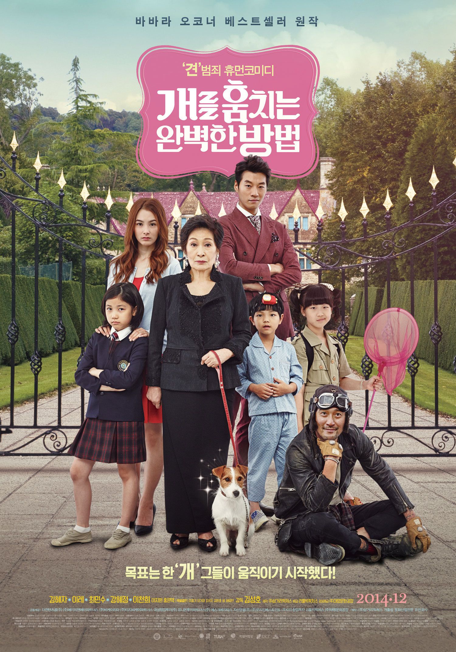 How to Steal a Dog (2014)