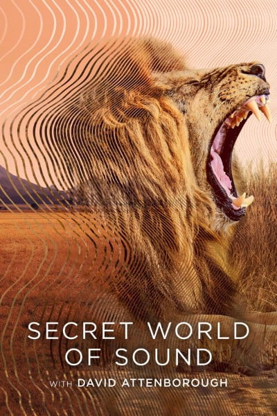 Secret World of Sound with David Attenborough (Season 1)